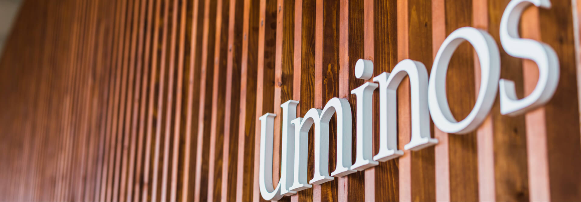 写真：エントランスの壁に飾られているUminosの文字